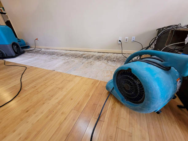 Professional Ceiling Water Damage Repair technician working in Baileys Harbor, WI
